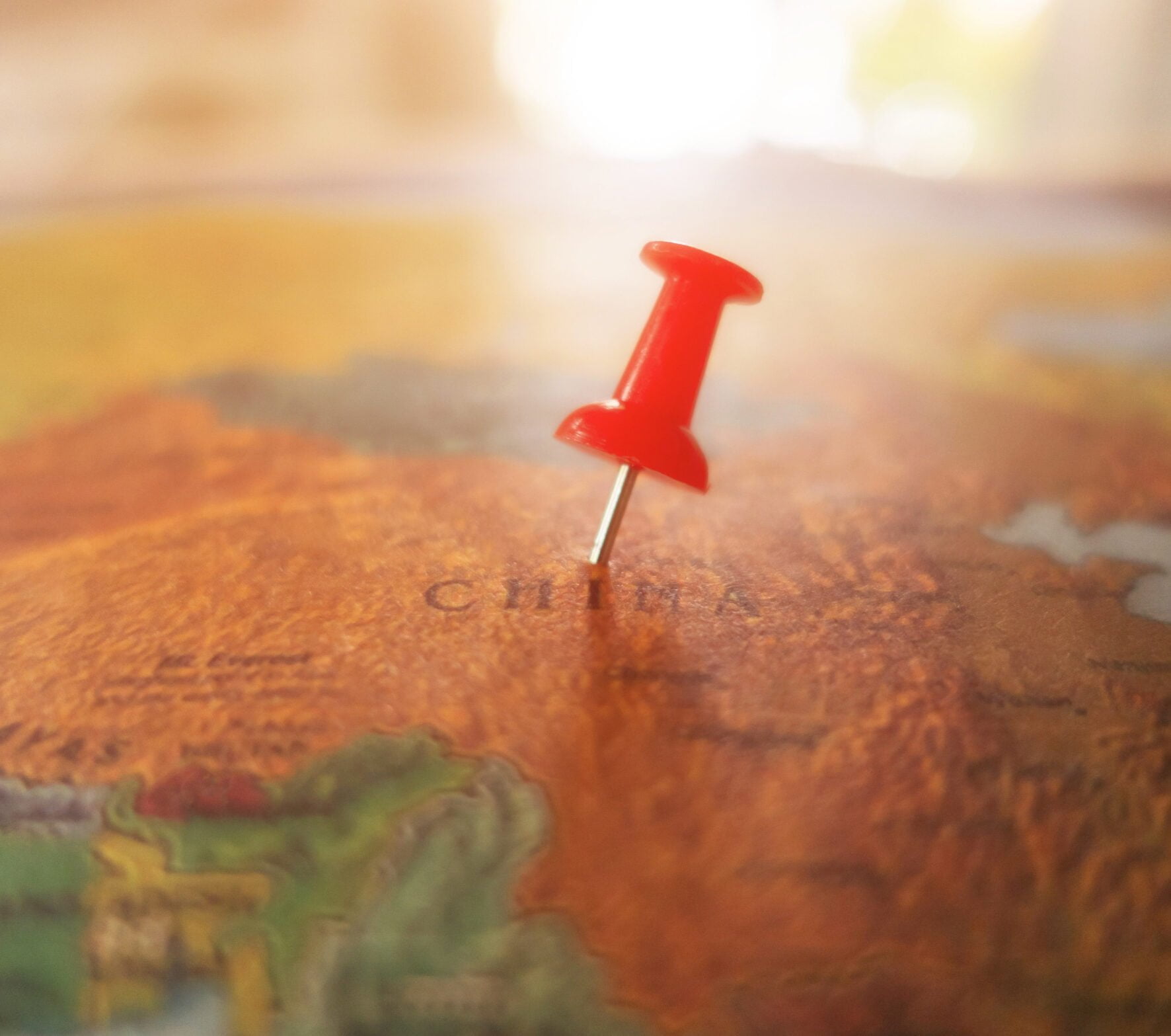 one world udlandstelefoni